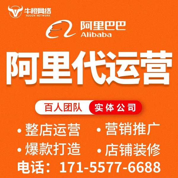荆州电商代运营