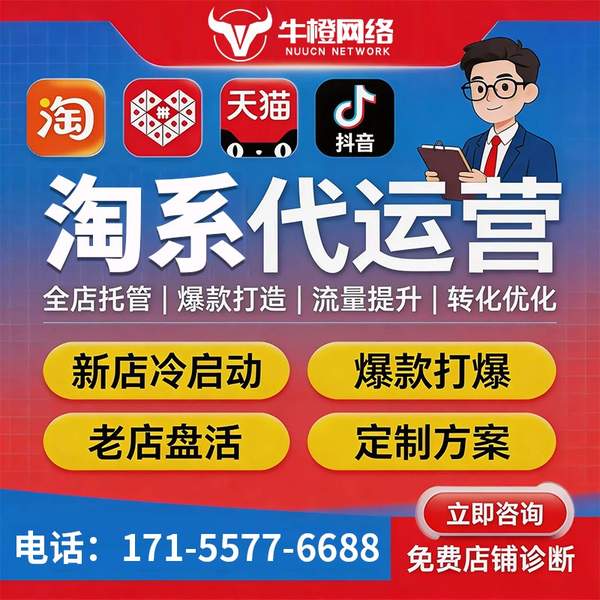荆州电商代运营