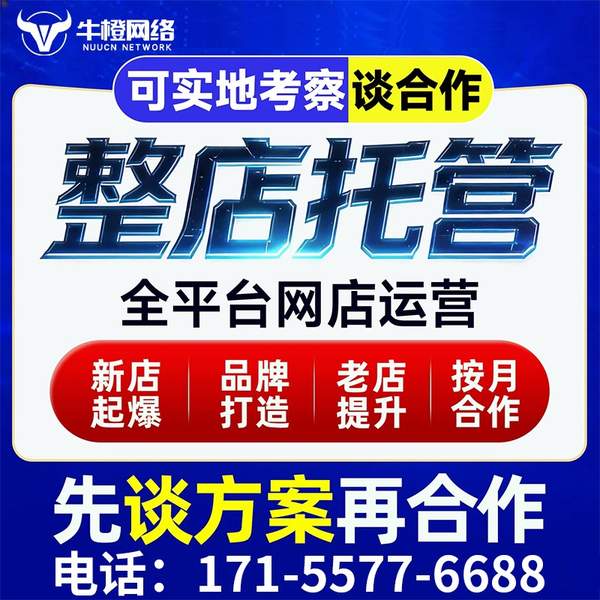 荆州电商代运营