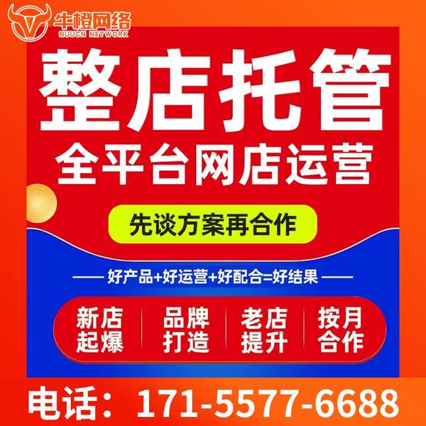 荆州电商代运营