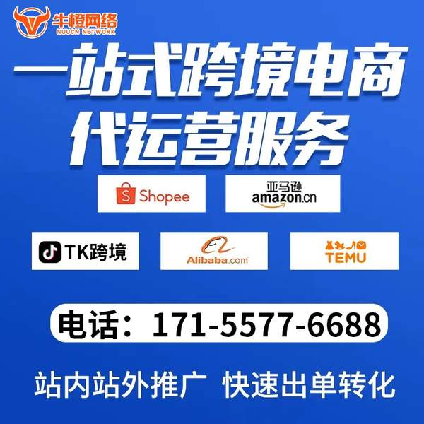 荆州电商代运营