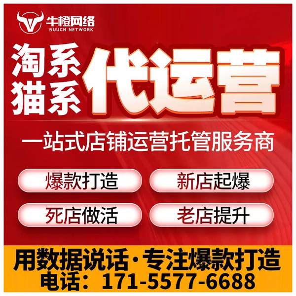 荆州电商代运营